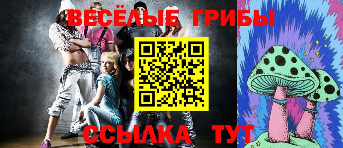 Галлюциногенные грибы Psilocybine cubensis  Вход с VPN  Копейск  где можно купить наркотик  Псилоцибиновые грибы Psilocybe 