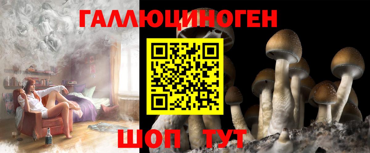 Псилоцибиновые грибы мицелий Копейск